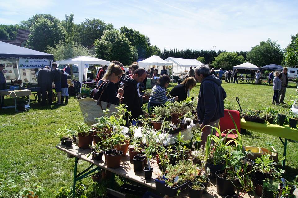 Fête de la nature 2024