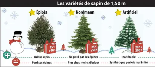 sapins de Noël