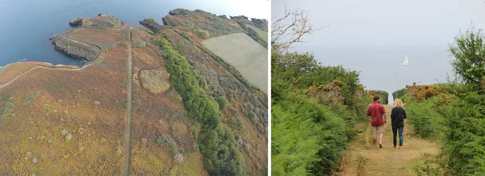  vignes de Bretagne