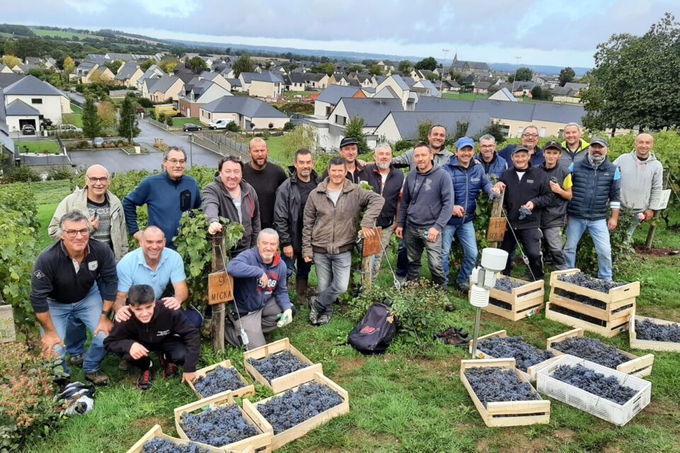  vignes de Bretagne