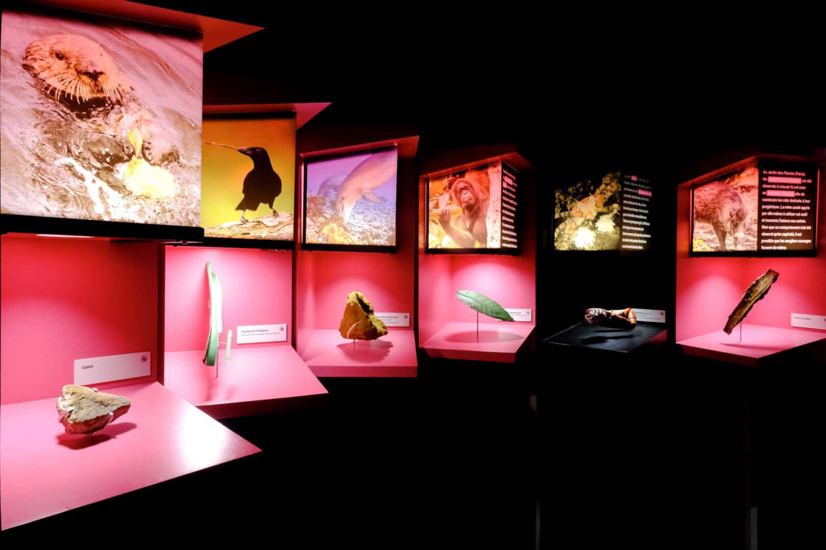 intelligences espace sciences rennes