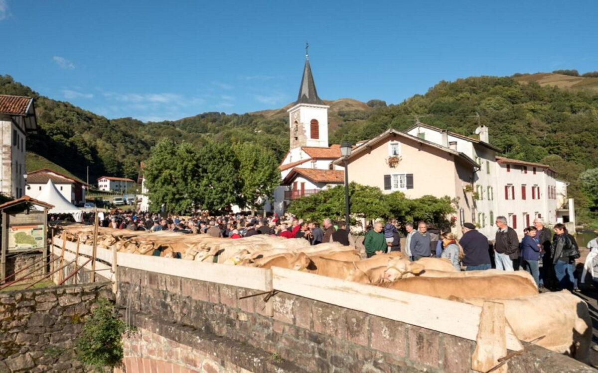 Portes ouvertes de la vallée des Aldudes : concours agricole