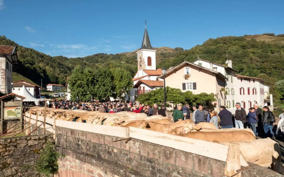 Portes ouvertes de la vallée des Aldudes : concours agricole