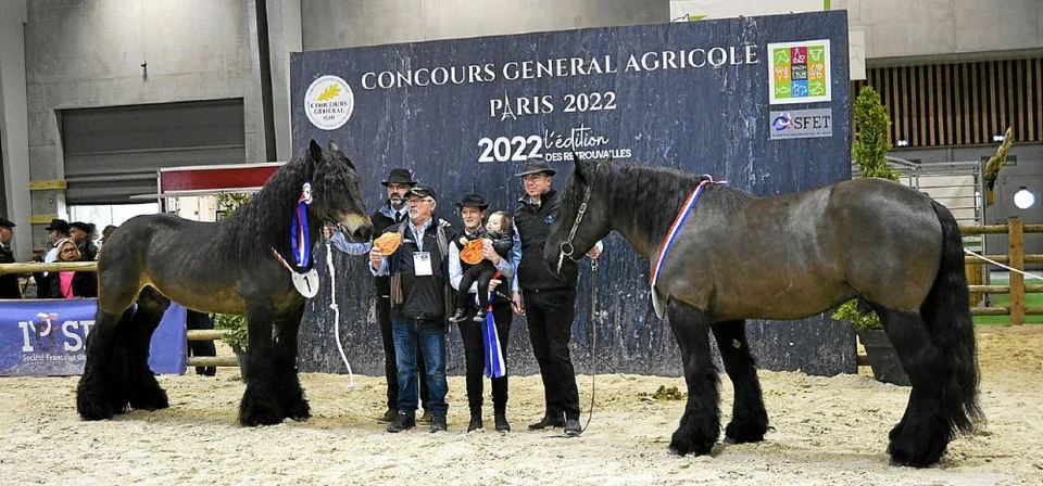 débardeurs à cheval 