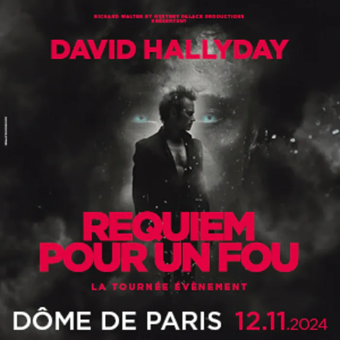 David Hallyday - Requiem pour un fou Le dome de paris Paris