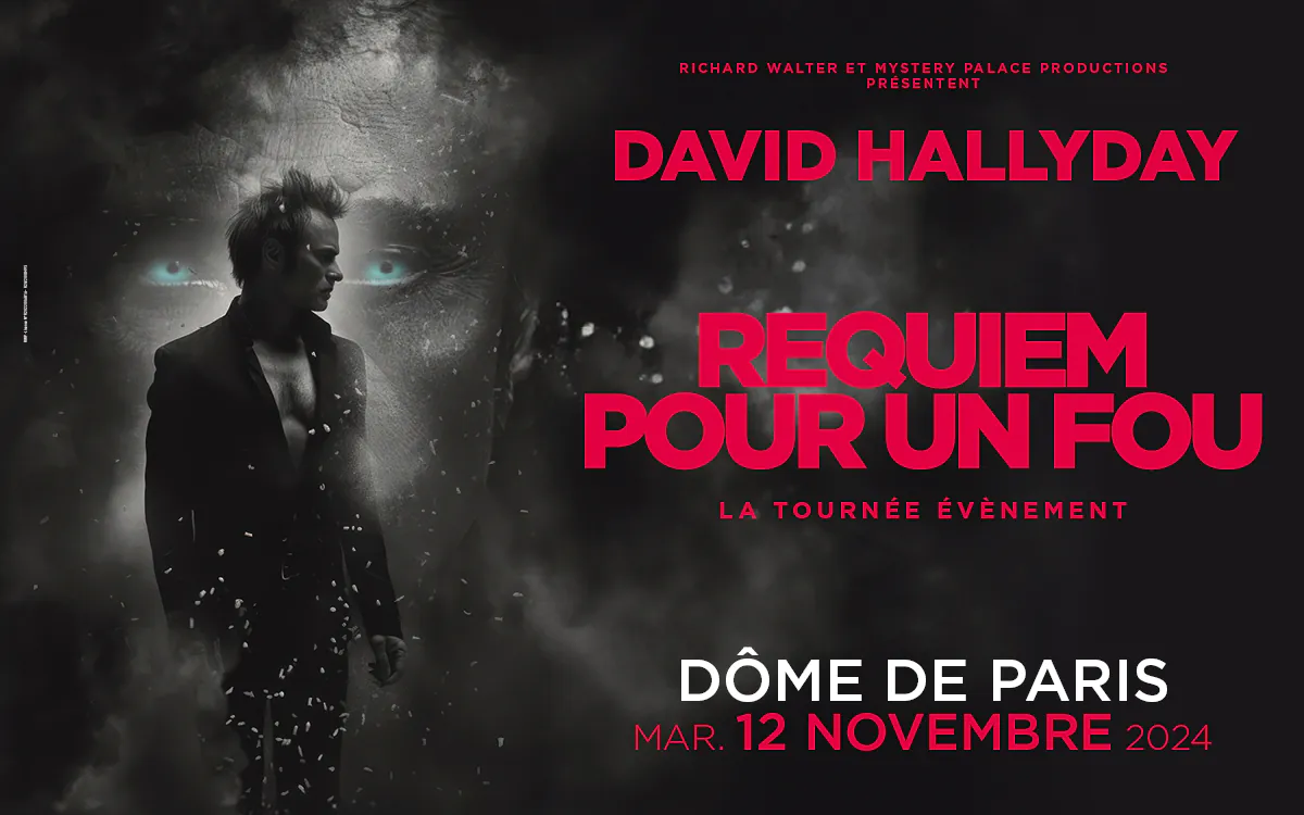 David Hallyday - Requiem pour un fou - La tournée Cent pour Cent Hallyday LE DOME DE PARIS Paris