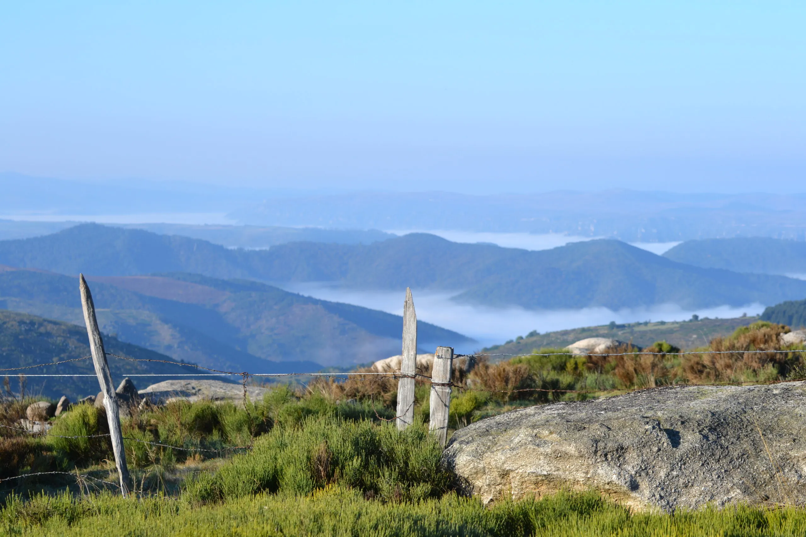 TRAIL DES CÈPES 2024