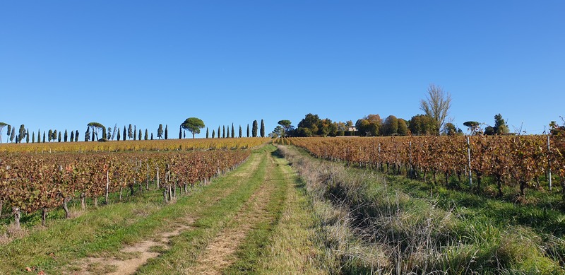 Malagar autrement - Entre les vignes