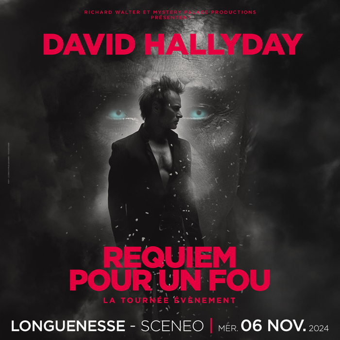 David HALLYDAY Requiem pour un Fou Sceneo Longuenesse