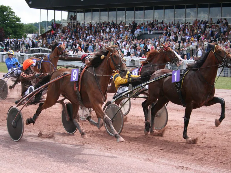 Courses hippiques  de trot à l'Hippodrome de Vire