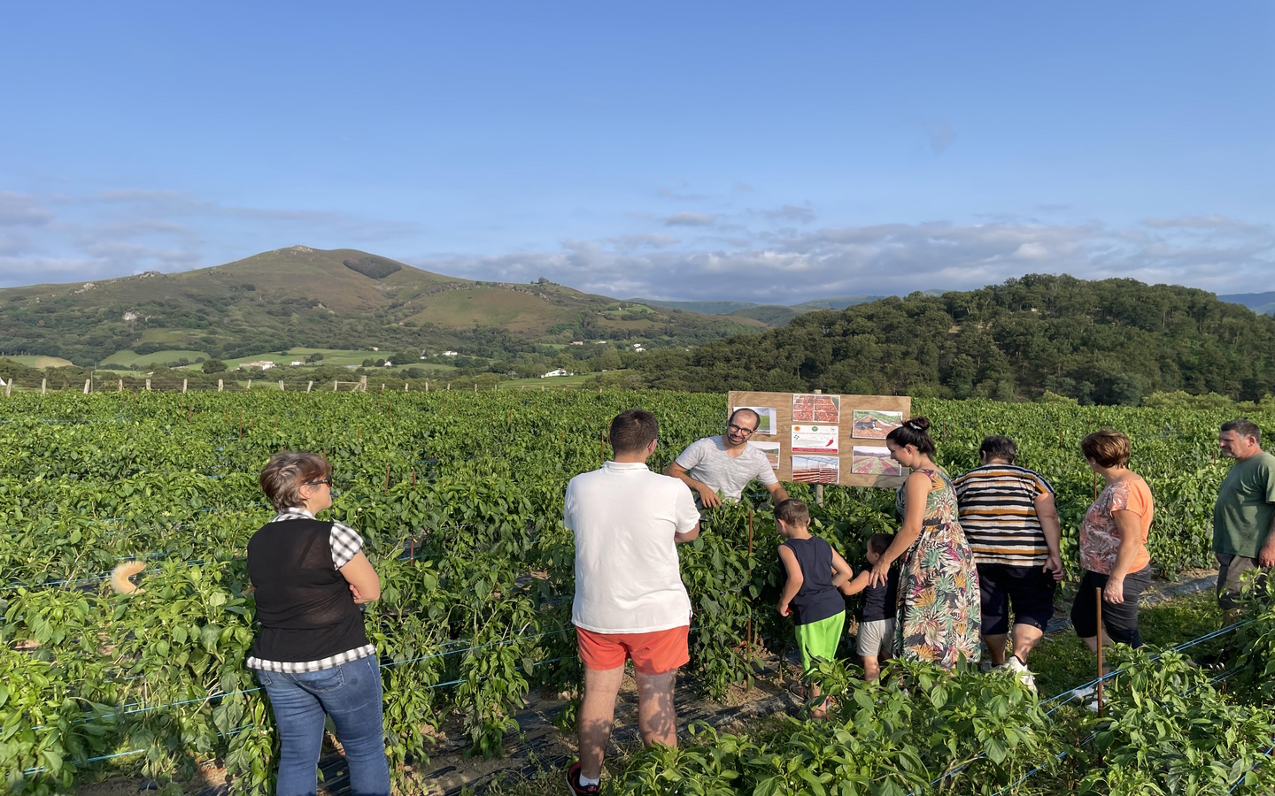 Visite d'une ferme familiale de piment d'Espelette