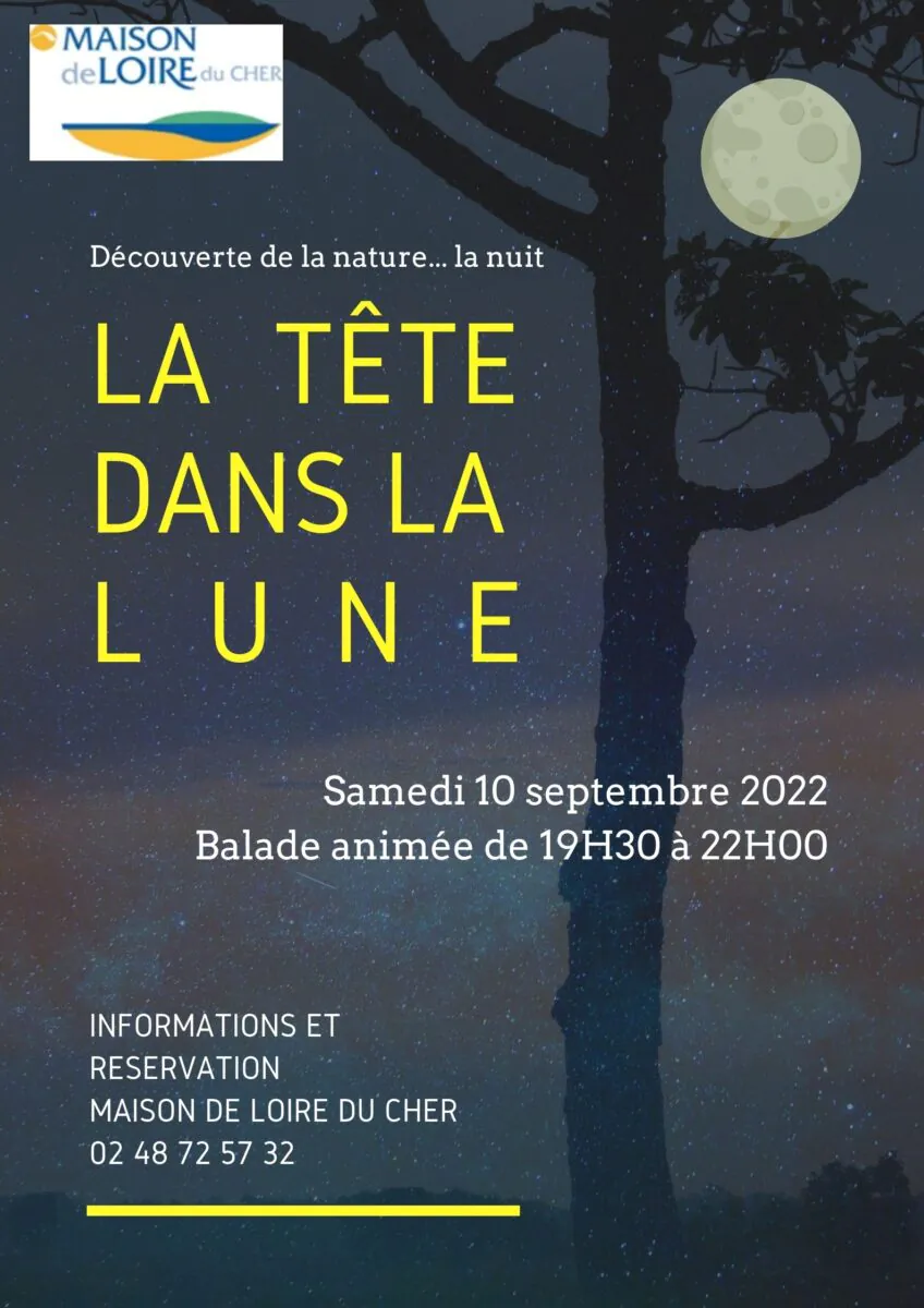 Chasse aux oeufs de Pâques / Chasse aux yeux d'Halloween!