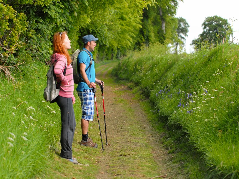 Le chemin des croix Valdallière Normandie