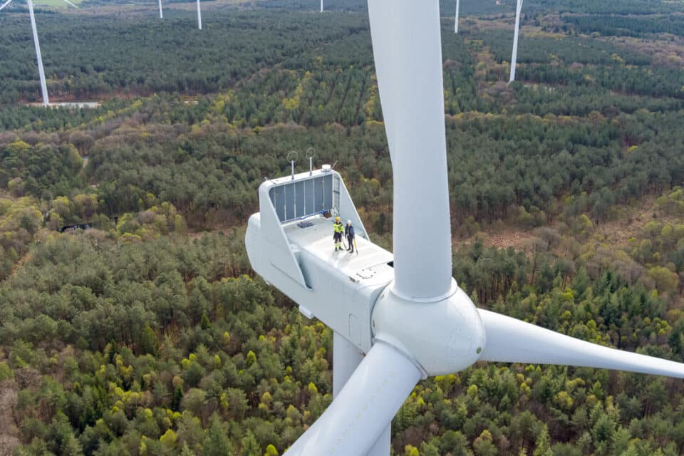 chauve souris -éoliennes