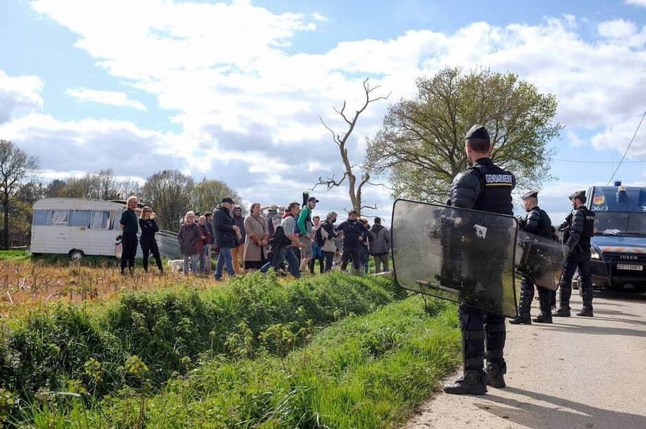 chauve souris -éoliennes