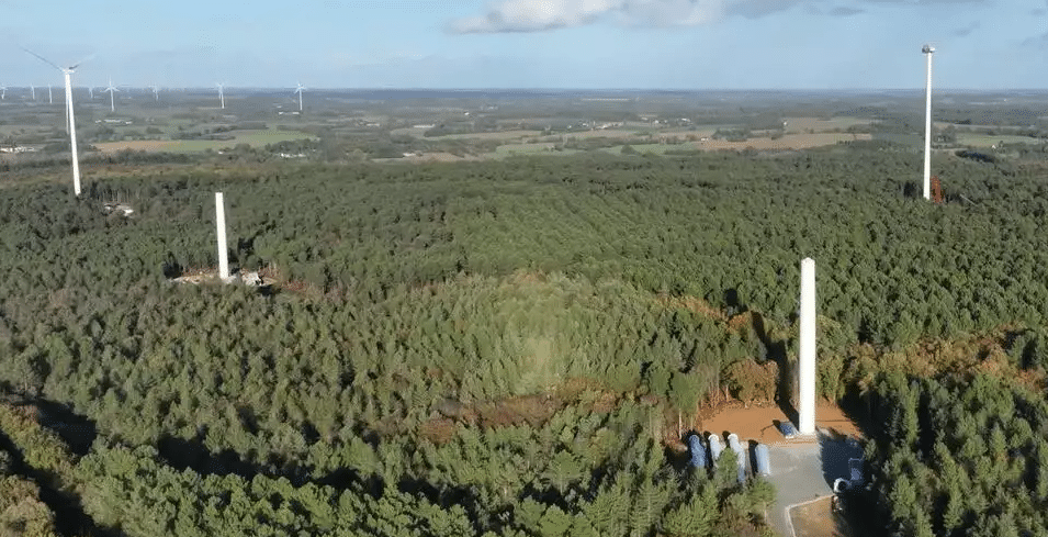 chauve souris -éoliennes