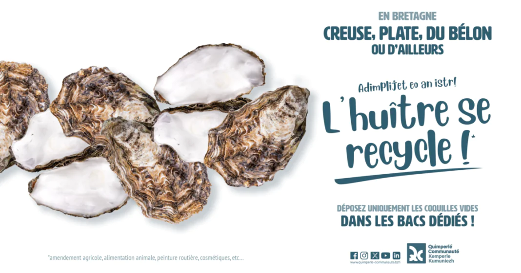 coquilles d'huîtres