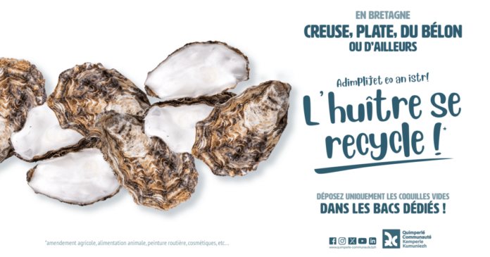 coquilles d'huîtres (1) coquilles d'huîtres