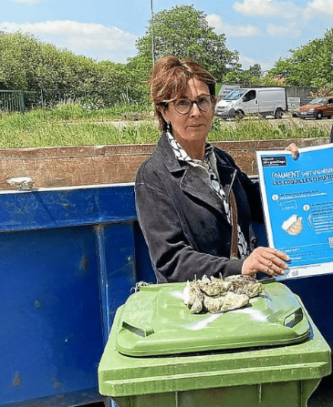 coquilles d'huîtres