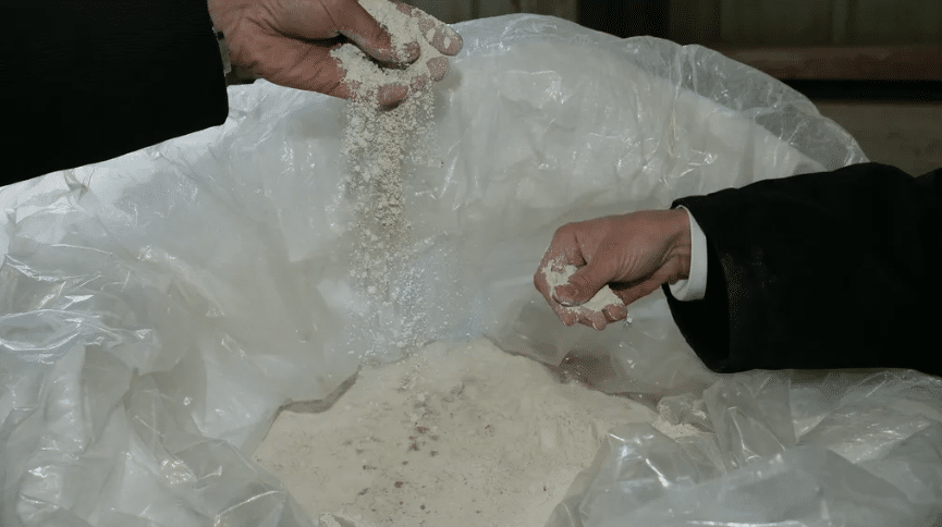 coquilles d'huîtres