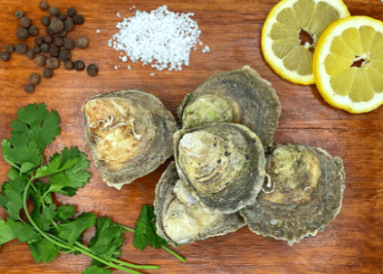 coquilles d'huîtres