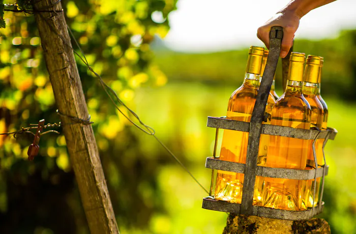 Les châteaux de Sauternes et Barsac ouvrent leurs portes Dans les Châteaux du Sauternes Sauternes