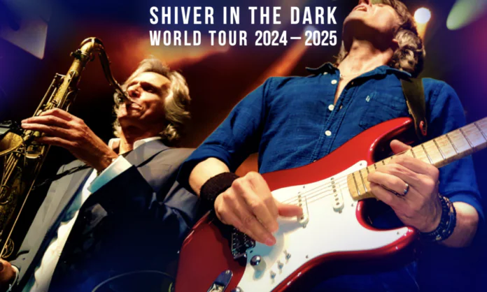 dire straits experience novembre 2024