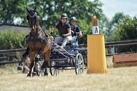 Championnat de France d'attelage amateur