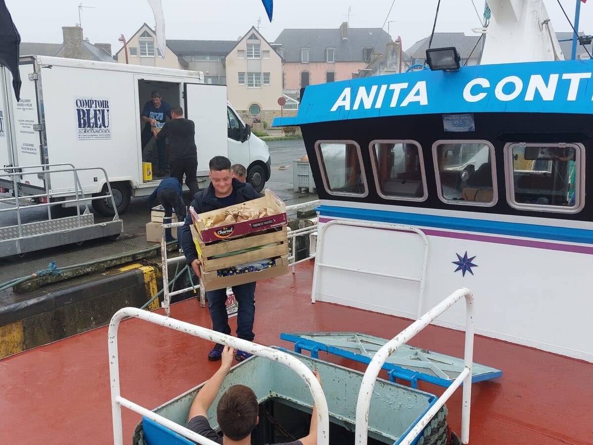 navires de pêche hybrides