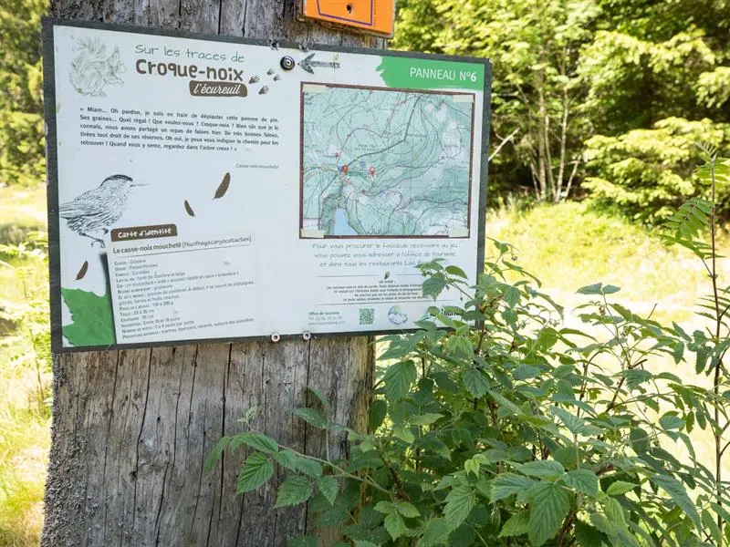 Jeu de piste - Sur les traces de Croque-Noix