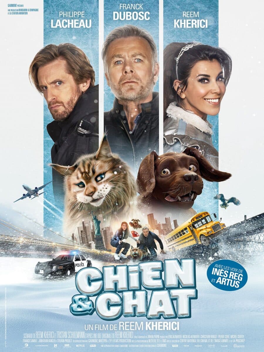 chat chien