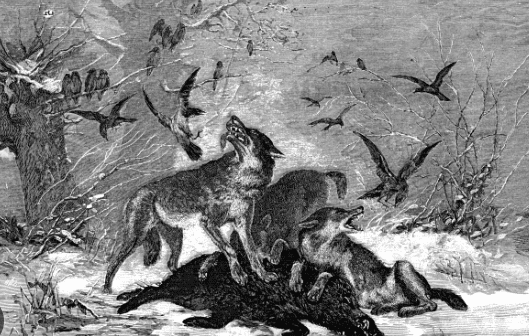 François de Beaulieu 