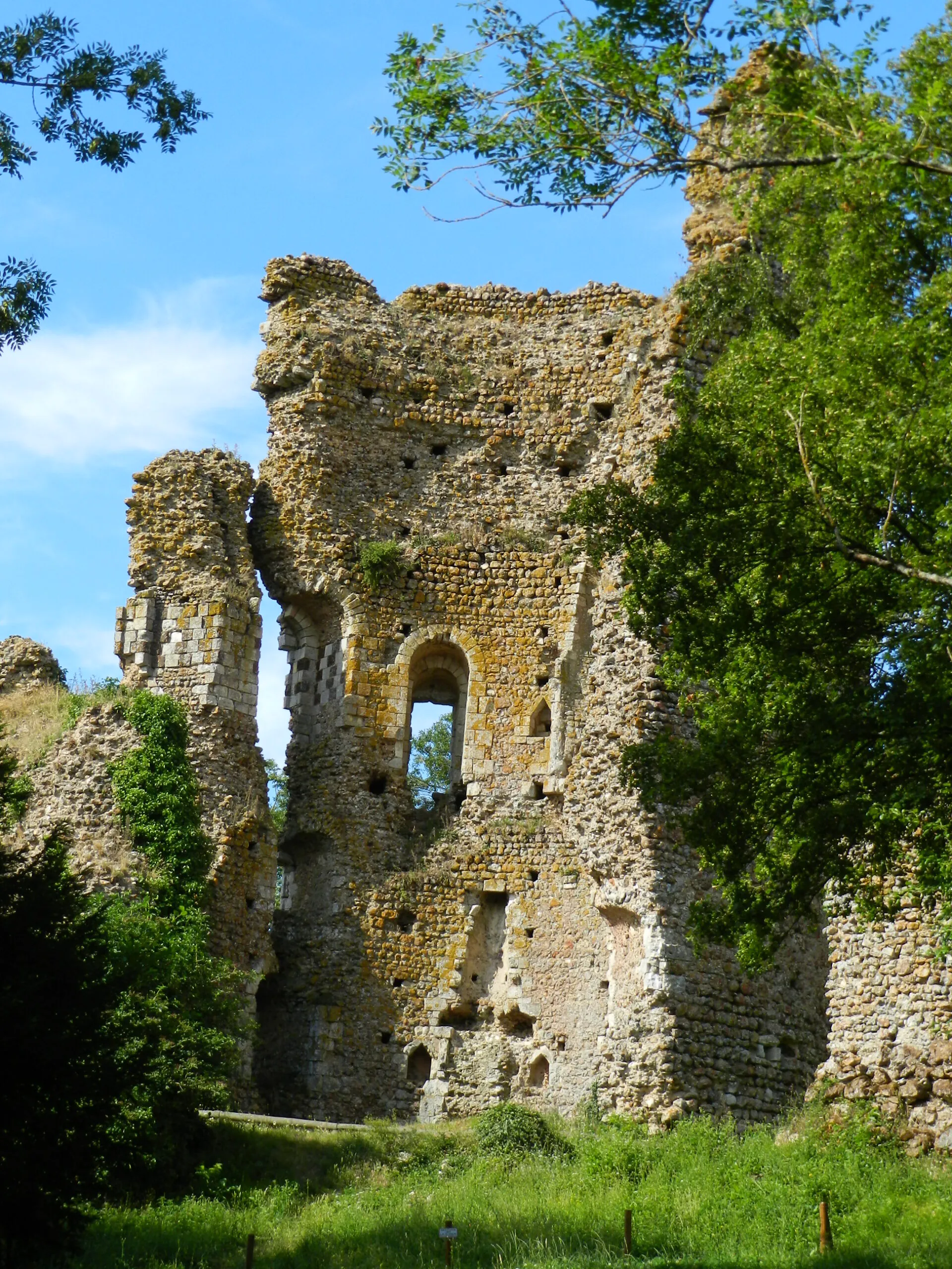 Visites commentées du château féodal de Fréteval