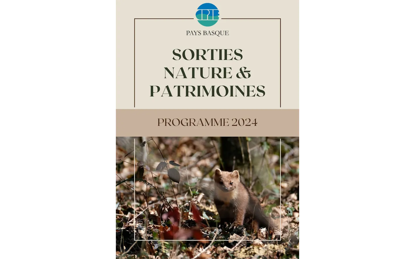 Sortie nature les roches du vignoble