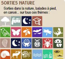 Sortie nature Fabrication de nichoirs et de gîtes pour la faune