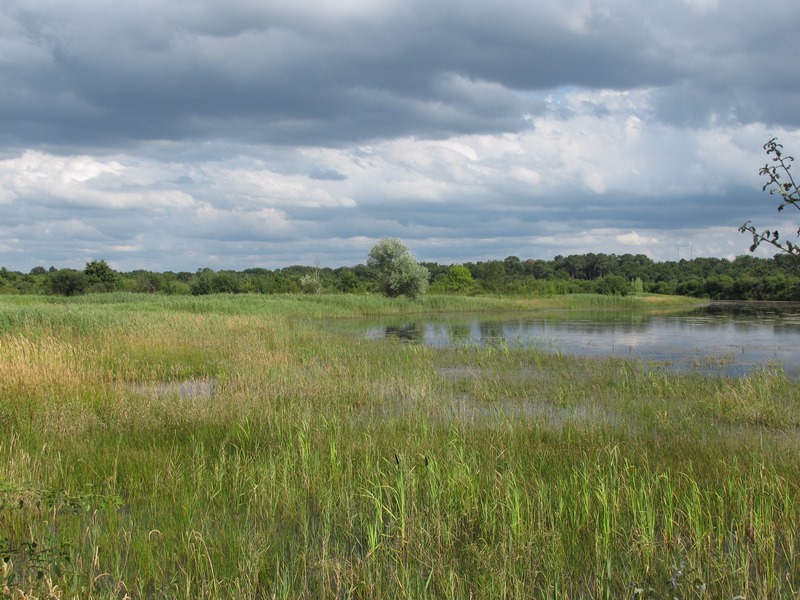 Découverte de la Réserve naturelle de Chérine