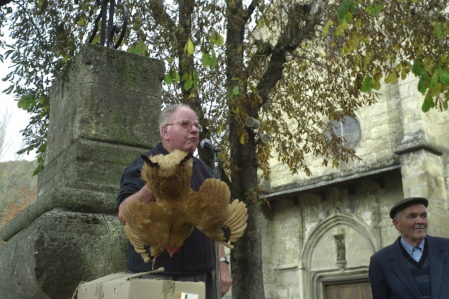 Vente aux enchères "la Poule UN" à Ste Eulalie d'Olt