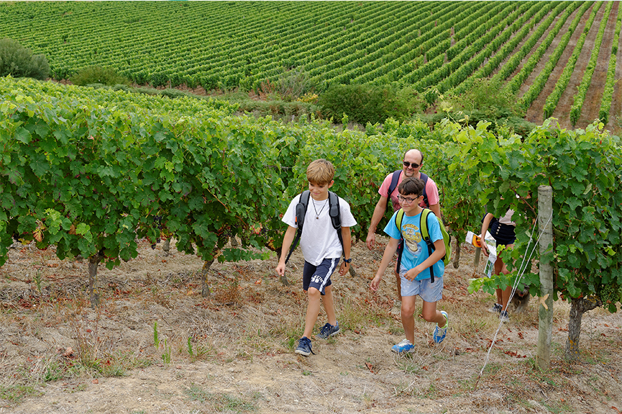 La randonnée des vendanges