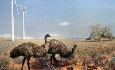 gacilly photo Anne Zahalka • Exposition Fragments de la vie sauvage