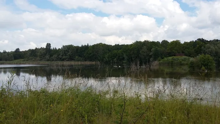 Un après-midi au cœur de la Réserve naturelle régionale du Grand-Voyeux Chemin de l'Epine Blanche Congis-sur-Thérouanne