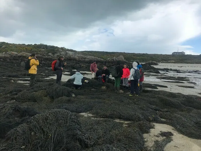 CHAUSEY/50 : stage GONm Îles chausey Granville