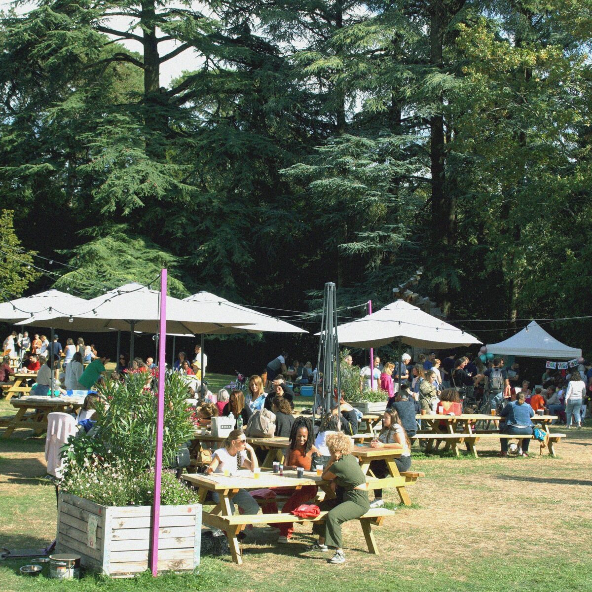 Guinguette la Belle saison