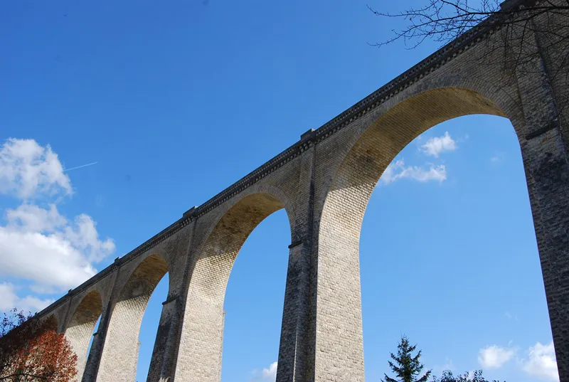 Saut à l'élastique