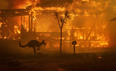 gacilly photo Matthew Abbott • Exposition Feux et contrefeux