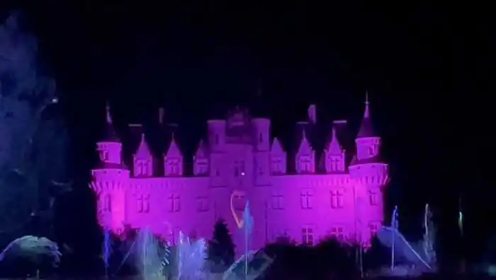 Spectacle son et lumière et possibilité de repas convivial Parc du château de la Victoresse Savigny-sous-Faye