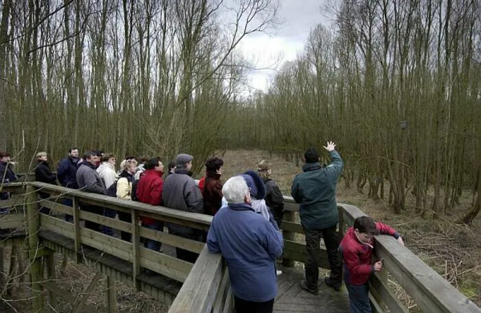 Balade naturaliste : automne dans le sous-bois Santes Santes