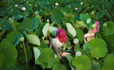 gacilly photo Tamara Dean • Exposition À la recherche d'un éden
