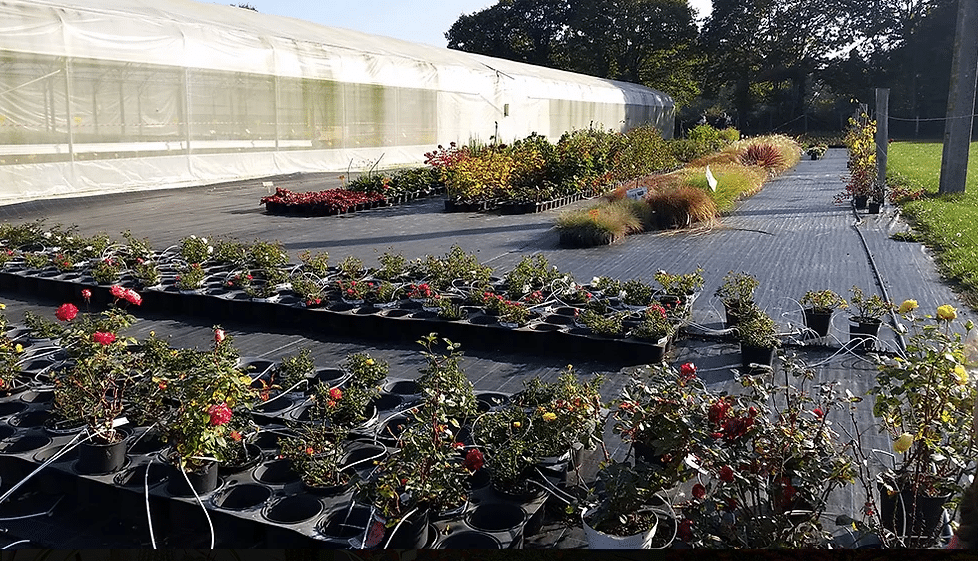 tier-lieu-agri-culturel-des-serres-de-launay.