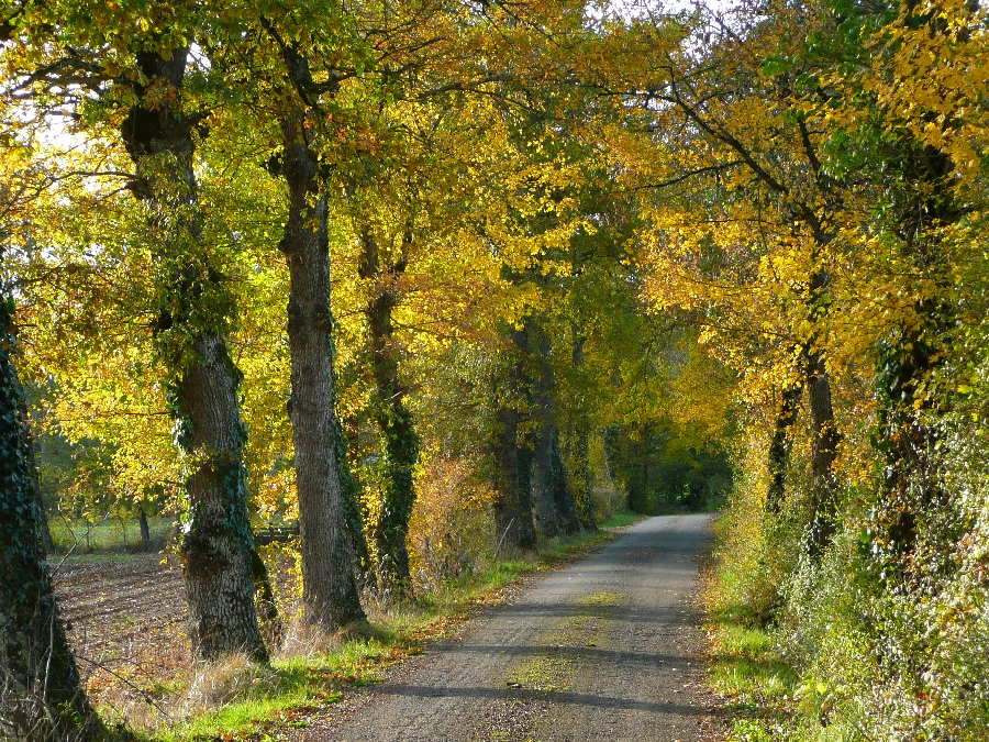 Circuit route du Pays Rignacois Rignac Occitanie