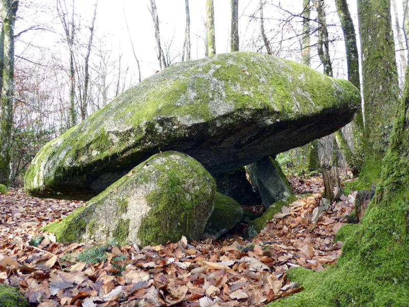 Base VTT FFC des Monts du Limousin Circuit 4 Le dolmen Ambazac Nouvelle-Aquitaine